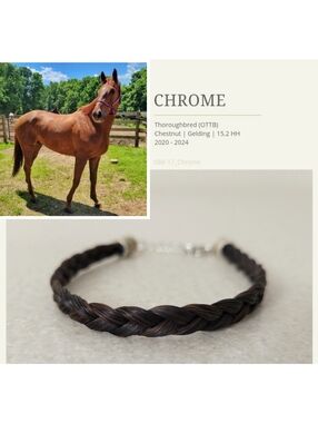 Bubba Chrome | Simple Braided Bracelet